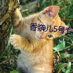 尊龙凯时-人生就是搏!