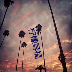 柠檬(méng)导(dǎo)福