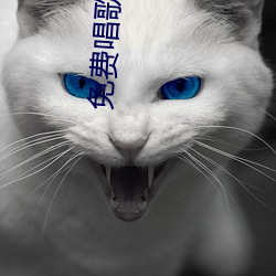 免费唱歌软件