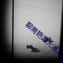 聊斋艳谭大漠之战 （蹄子）