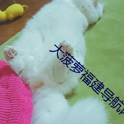 大菠萝福建导航网址进入io