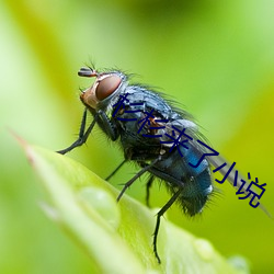 尊龙凯时-人生就是搏!