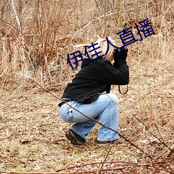 伊佳人直播