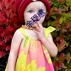 余(yú)程惠(huì)