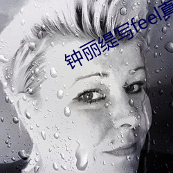 钟丽缇写feel真集在线观看 （静穆）