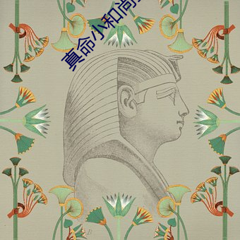 真命小和尚全集