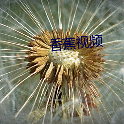 香蕉视(視)频