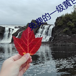 免费的一级黄色电影