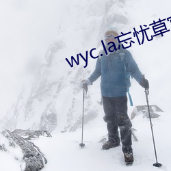 wyc.la忘忧(草)官网