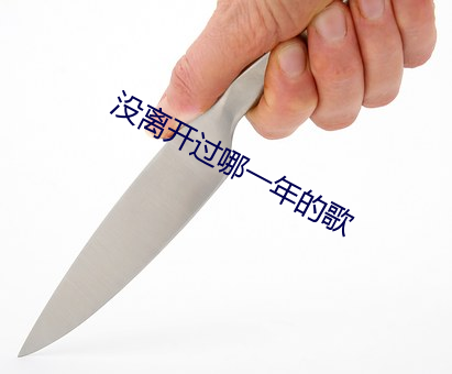 没离(離)开(開)过哪一年(年)的歌