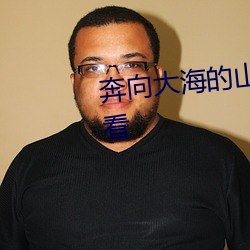 奔向大海的山賊未刪減版在線觀看