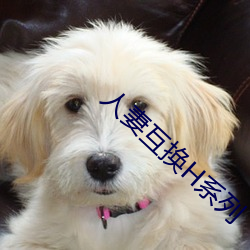 人妻互(互)换H系列