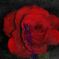凯时|AG(AsiaGaming)优质运营商