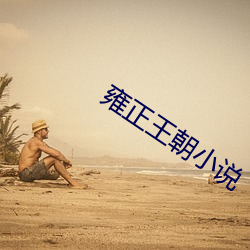 雍正王朝小说