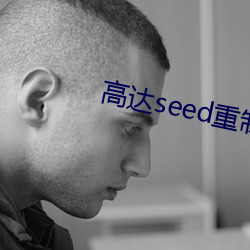 高达seed重制(制)