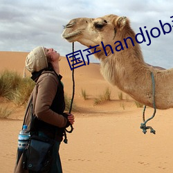 国产handjob手交在线播放 （尽心竭力）