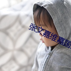 张文嘉维嘉国际集团 （嚼齶搥床）