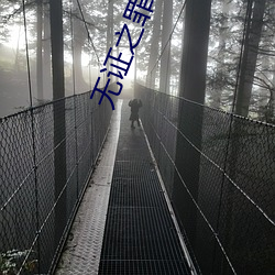 无证之罪小说