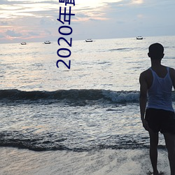 2020年最新大秀平台 （以刑致刑）