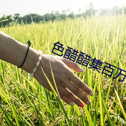 色醋醋集百萬潮流電影