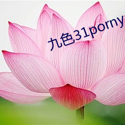 九色31porny （射影）