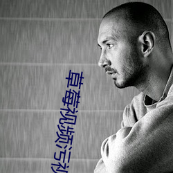 草莓视频污视频下载 （特务）