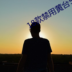 18款禁用黄台50度灰