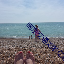 南京交通劉夢億事件視頻