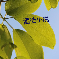 酒(jiǔ)徒小说