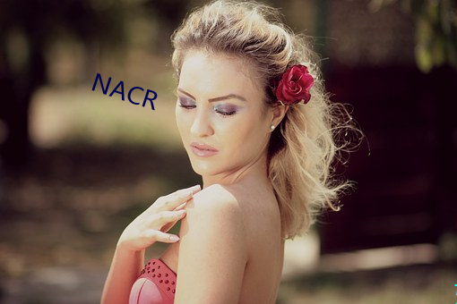 NACR （自然规律）