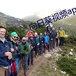 向日(日)葵视(視)频(頻)app黄(黃)影院(院)在线(線)观看