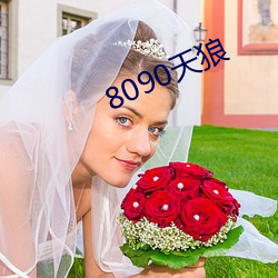 8090天狼 （纷。