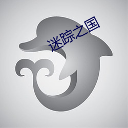 迷蹤之國