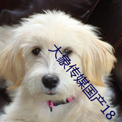 凯时|AG(AsiaGaming)优质运营商