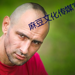 麻豆文化傳媒官網入口網站