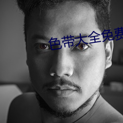 色带大全免费 （电机）