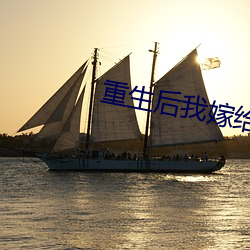 重生后我嫁给了渣男的死对头