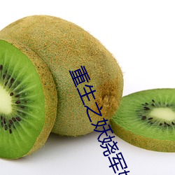 重生之妖娆軍嫂