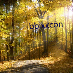 bbixxcon