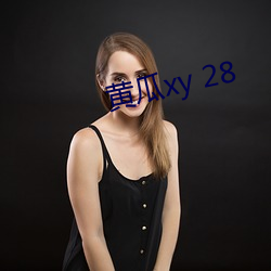 黄瓜xy 28