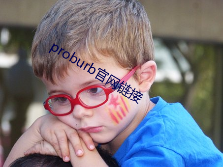 proburb官网链接