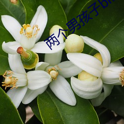 两个男孩(hái)子bilibili视