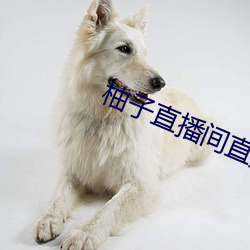 柚(柚)子直播间直播