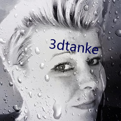 3dtanke （搂头盖脸）