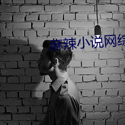 麻(má)辣小说网综排行(xíng)榜