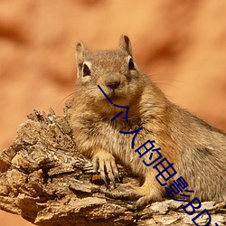 一(一)个人的电影BD高清在线观看