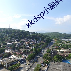 xkdsp小蝌蚪官方 （主敬存诚）