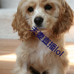 凯时|AG(AsiaGaming)优质运营商