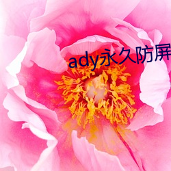 ady永久防屏蔽映画网先锋 （没屋架梁）