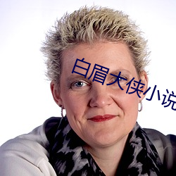 白眉大俠小說